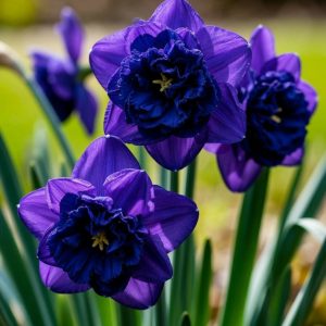 Нарцисс Арт Нуво купить по цене от 378р. в интернет-магазине «Посадика» с доставкой почтой в в Южноуральске и по всей России – [изображение №1].