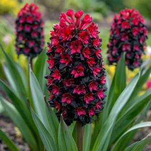 Гиацинт Джем Стоун купить по цене от 2099р. в интернет-магазине «Посадика» с доставкой почтой в в Южноуральске и по всей России – [изображение №1].