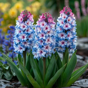 Гиацинт Пинк Мари купить по цене от 2099р. в интернет-магазине «Посадика» с доставкой почтой в в Южноуральске и по всей России – [изображение №1].