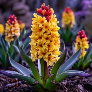 Гиацинт Миднайт Мистери купить по цене от 2099р. в интернет-магазине «Посадика» с доставкой почтой в в Южноуральске и по всей России – [изображение №1].