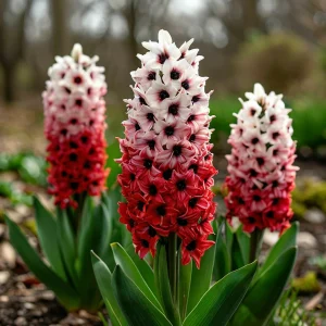 Гиацинт Скай Гарден купить по цене от 2099р. в интернет-магазине «Посадика» с доставкой почтой в в Южноуральске и по всей России – [изображение №1].